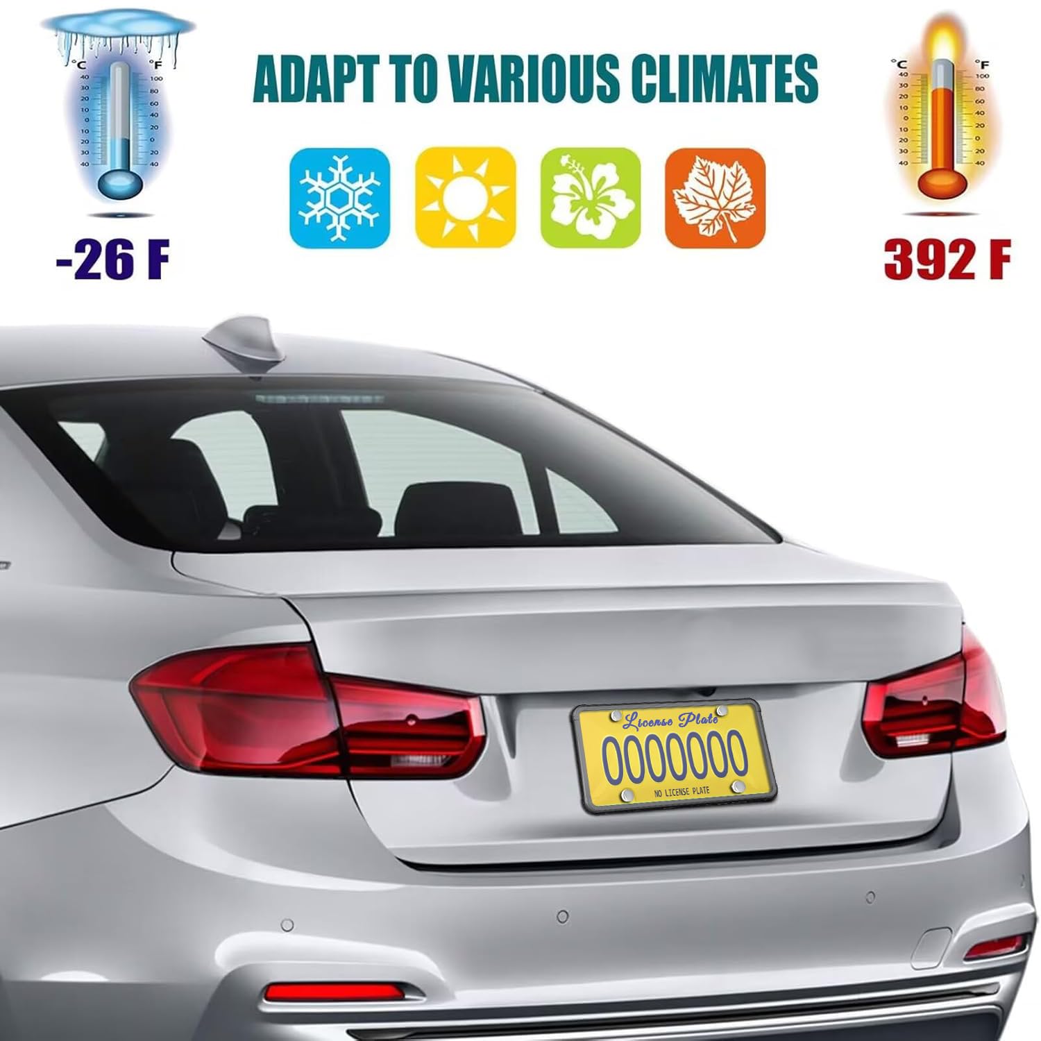 AOOTF 6x12 standard-fit license plate protector