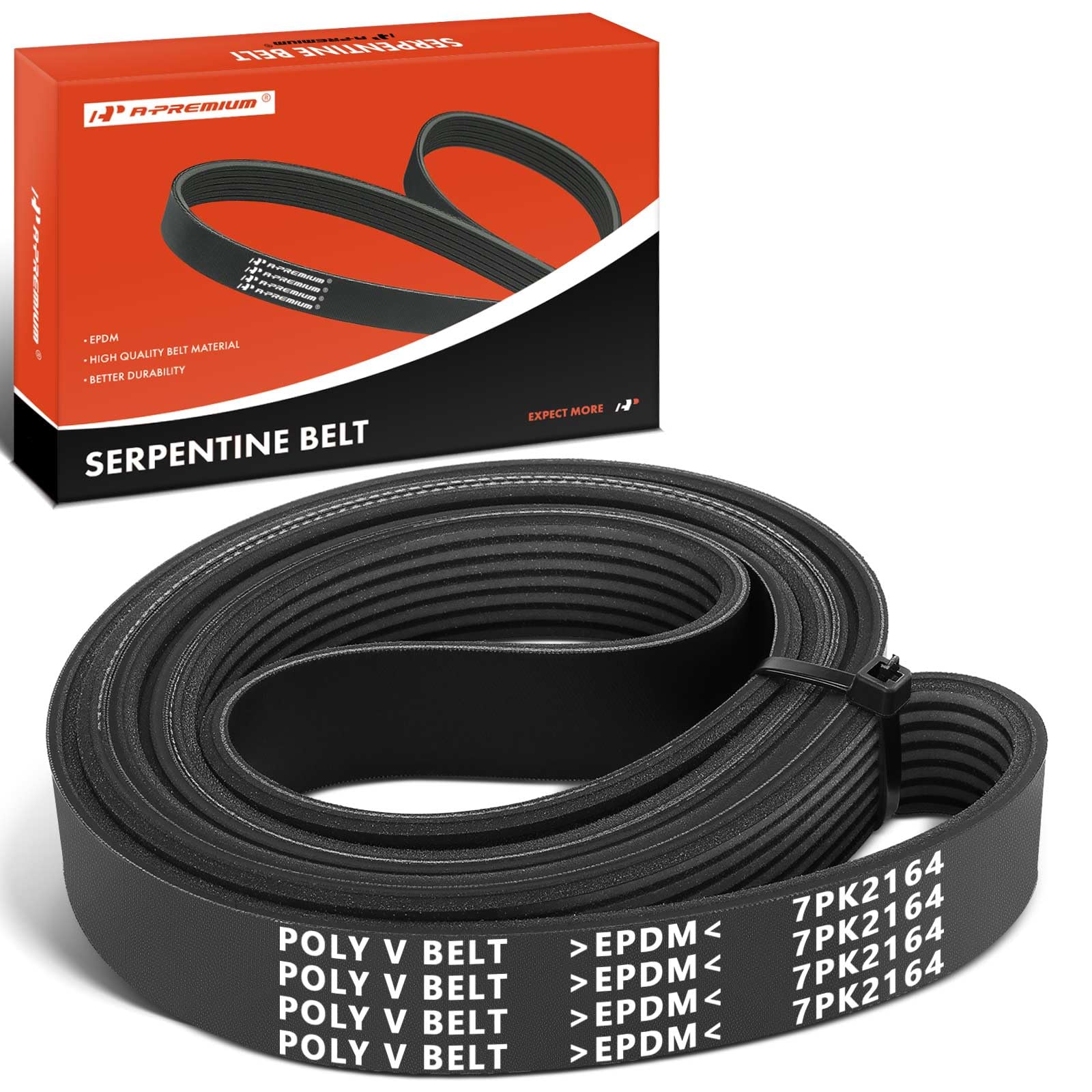 A-Premium engine serpentine belt front view shows precise fit for Honda Civic