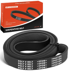 A-Premium engine serpentine belt front view shows precise fit for Honda Civic