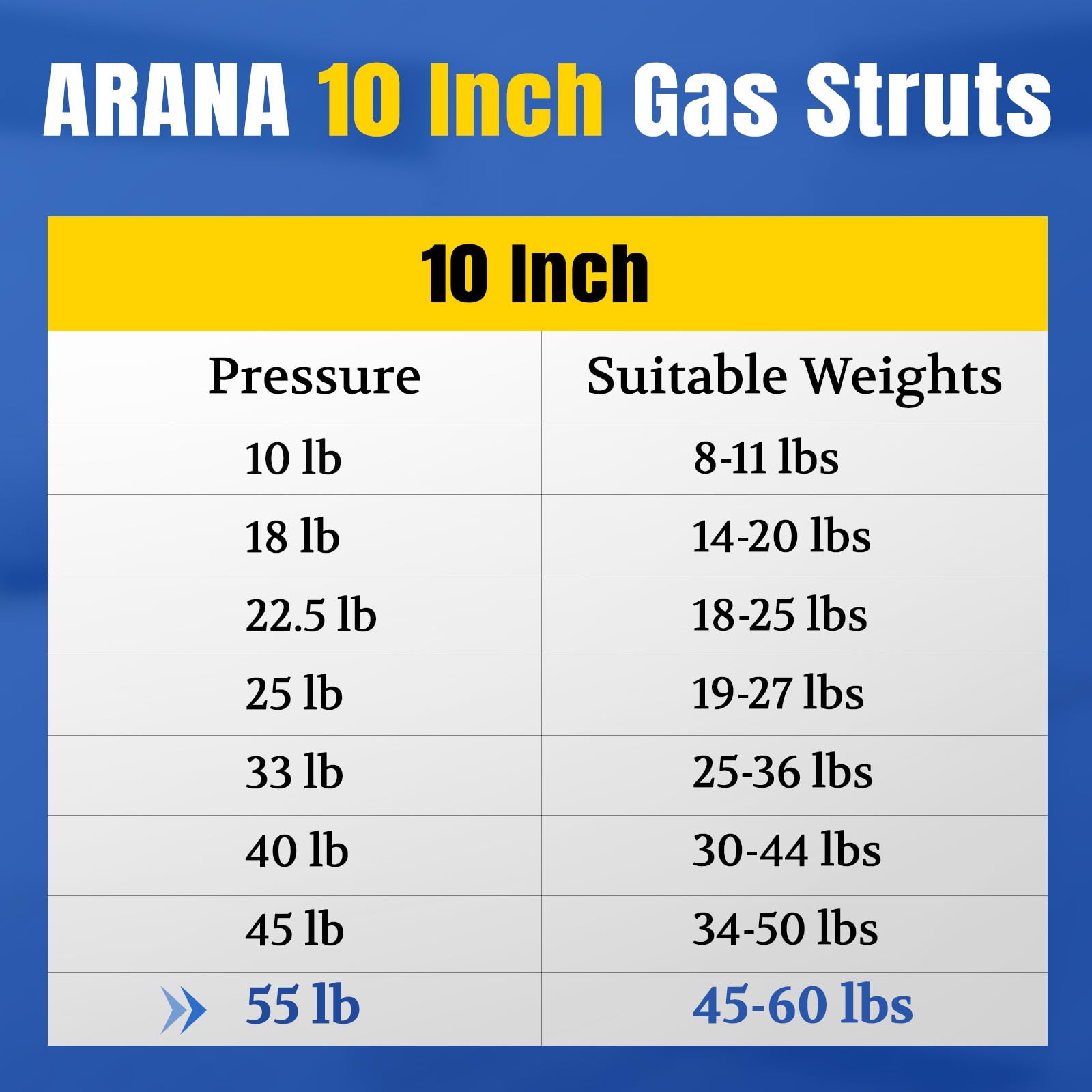 Heavy toolbox lid stays open with two ARANA struts