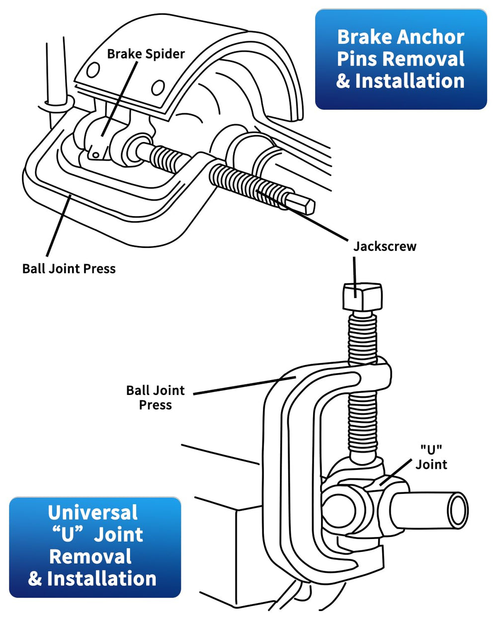 ATPEAM installing cup adapter enabling clean, flush seating.