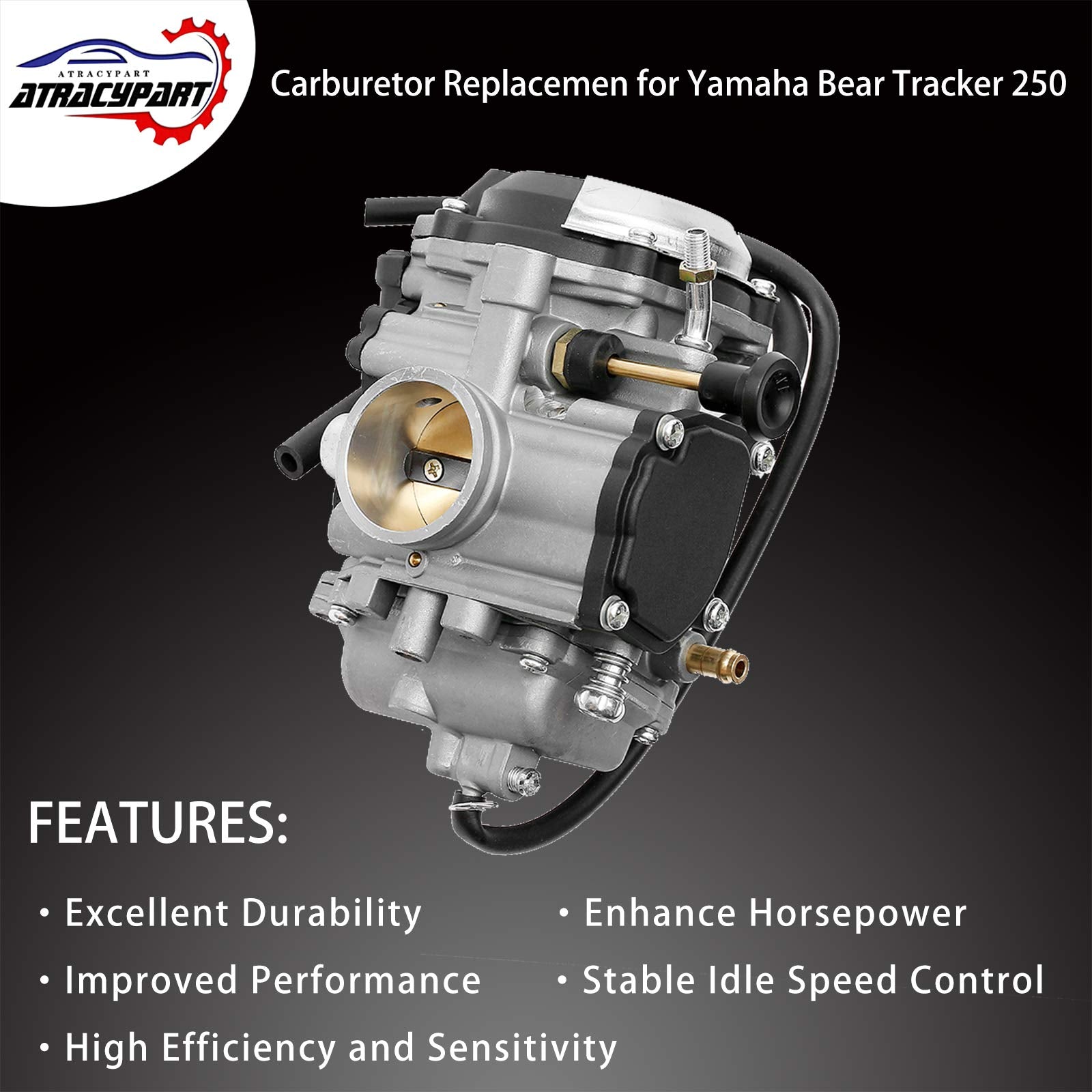 ATRACYPART fuel filter included with carburetor kit