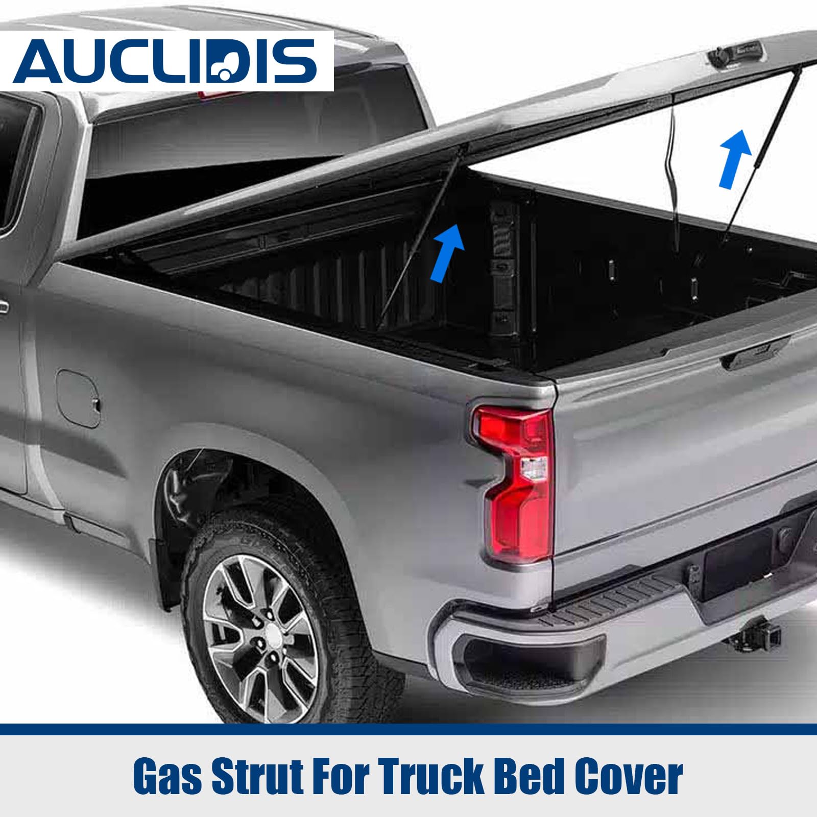 AUCLIDIS 20-inch gas strut for cabinet doors delivers smooth operation.