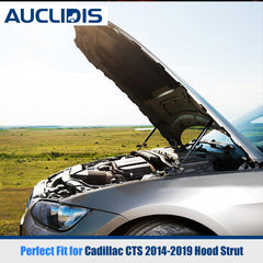 AUCLIDIS hood strut extension diagram; accurate 16.30 inch length for proper hood alignment