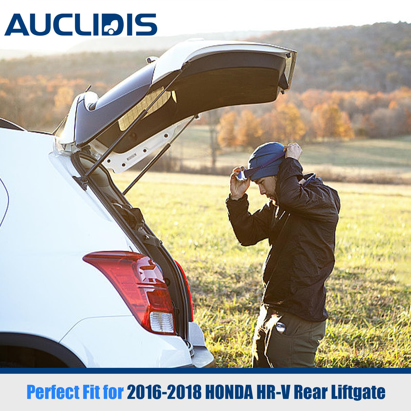 AUCLIDIS HR-V tailgate-hatch support delivers balanced force for easy access.