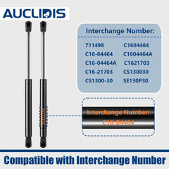 AUCLIDIS door strut with nylon ball sockets for reliable movement