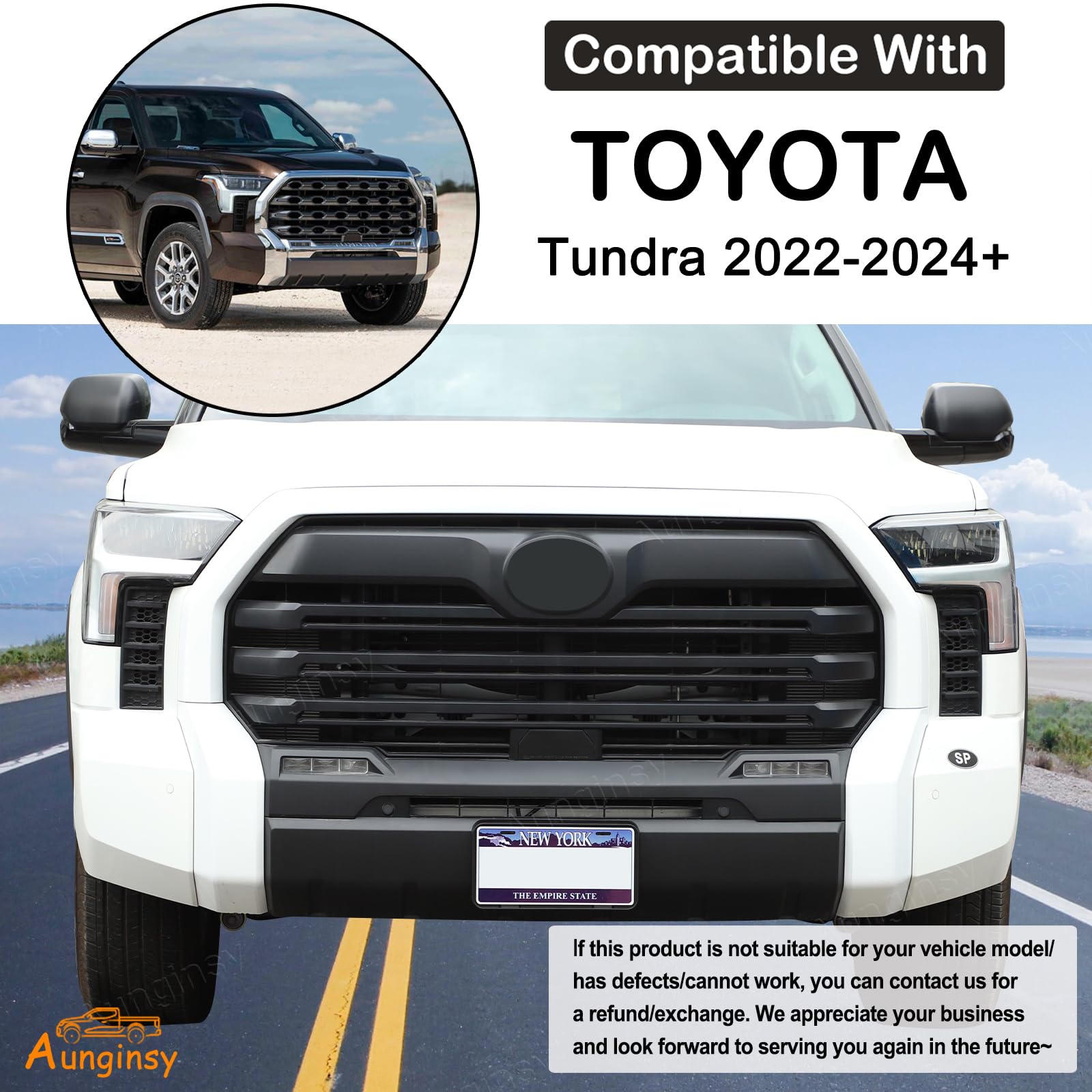 Aunginsy tundra bracket cover protects paint and keeps plates flat.