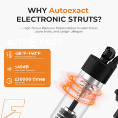 Autoexact liftgate strut close-up shows damping system