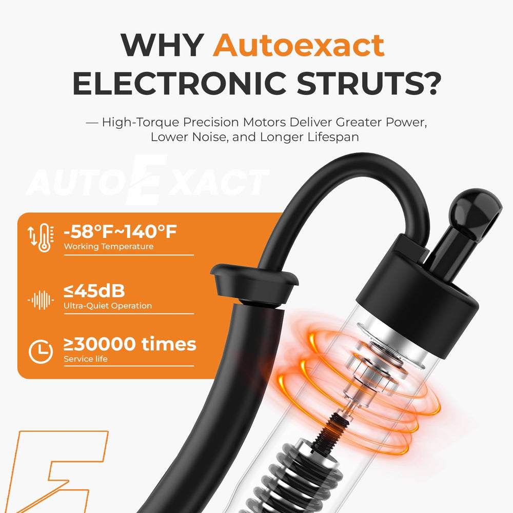 Autoexact liftgate struts closeup right mount area highlights secure attachment.