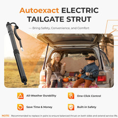 Autoexact power liftgate struts right side for Highlander provide reliable opening.