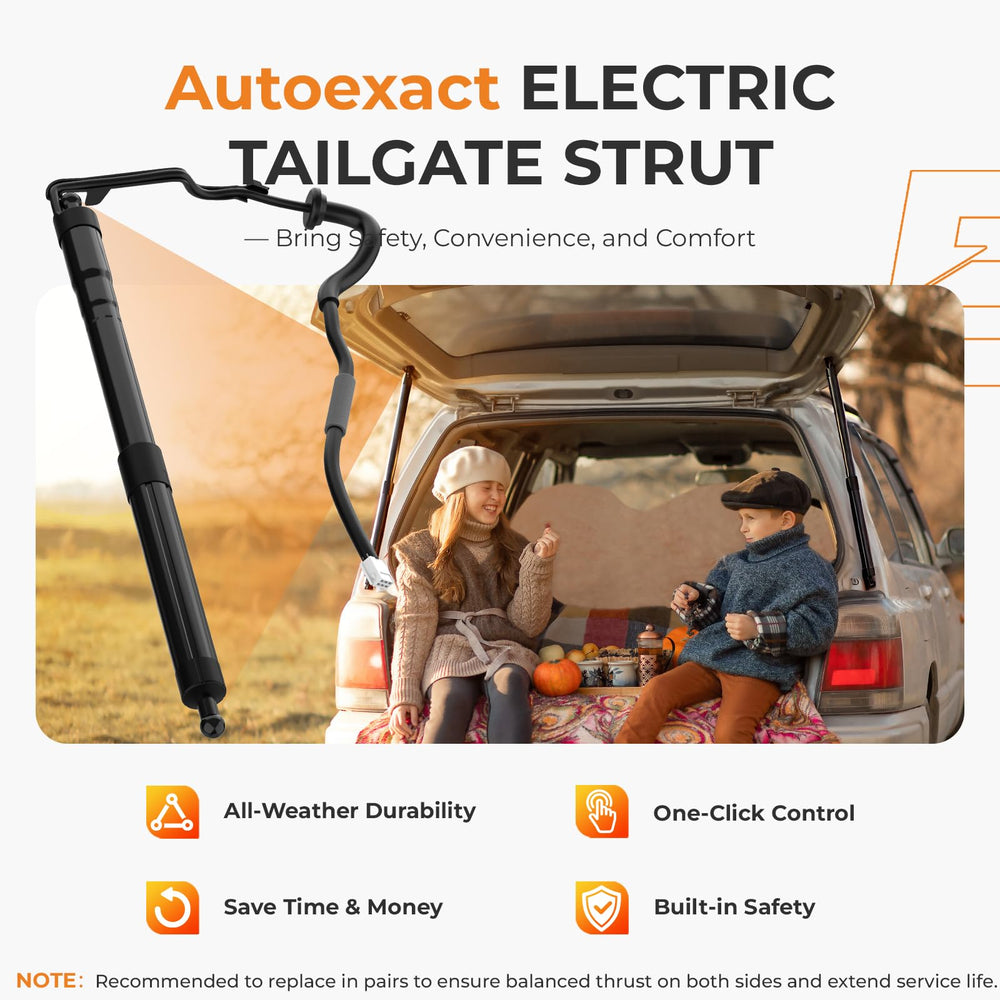 Autoexact liftgate struts in open position enabling effortless trunk access.