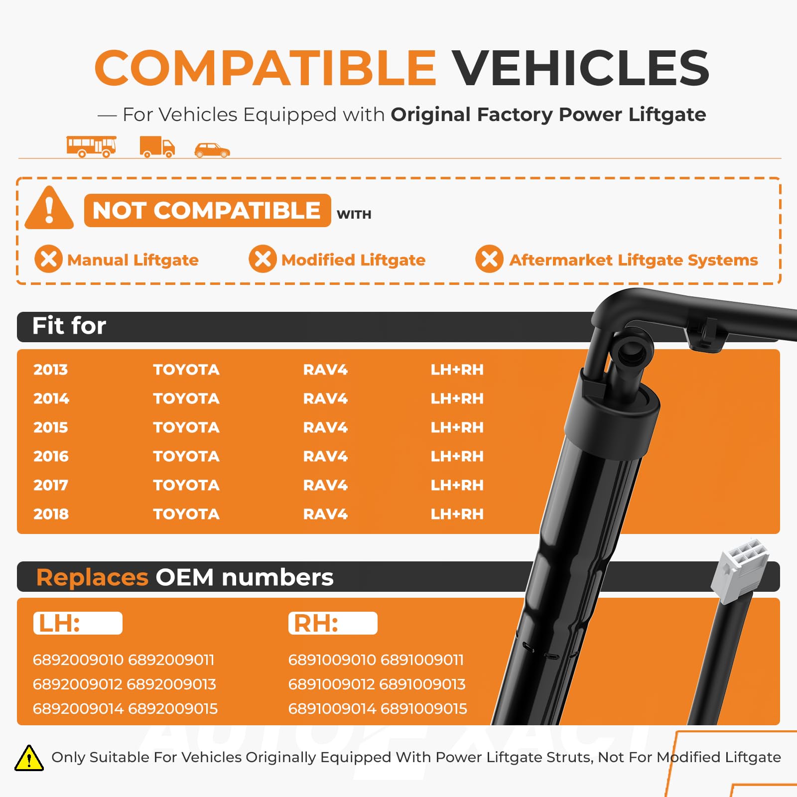 Autoexact power liftgate struts right-side installed for reliable trunk operation.