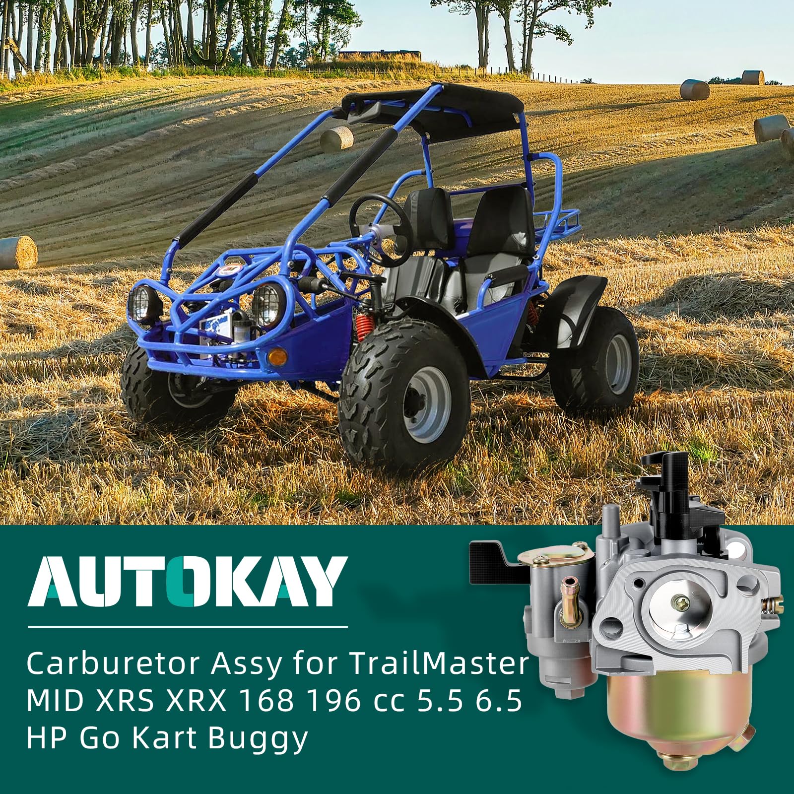 AUTOKAY carburetor package contents shown for easy DIY replacement