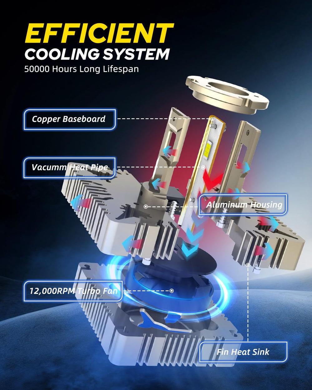 AUTOONE D5S D5R bulbs offer a 50000-hour lifespan for long-term durability