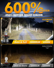Auxbeam 5202 1:1 halogen-like beam for precise illumination
