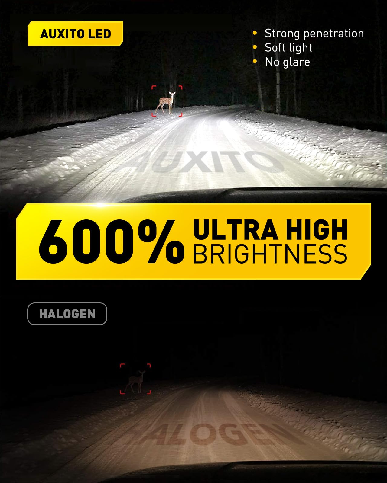 AUXITO H16 LED fog light bulb with IP68 sealing for water and dust resistance.