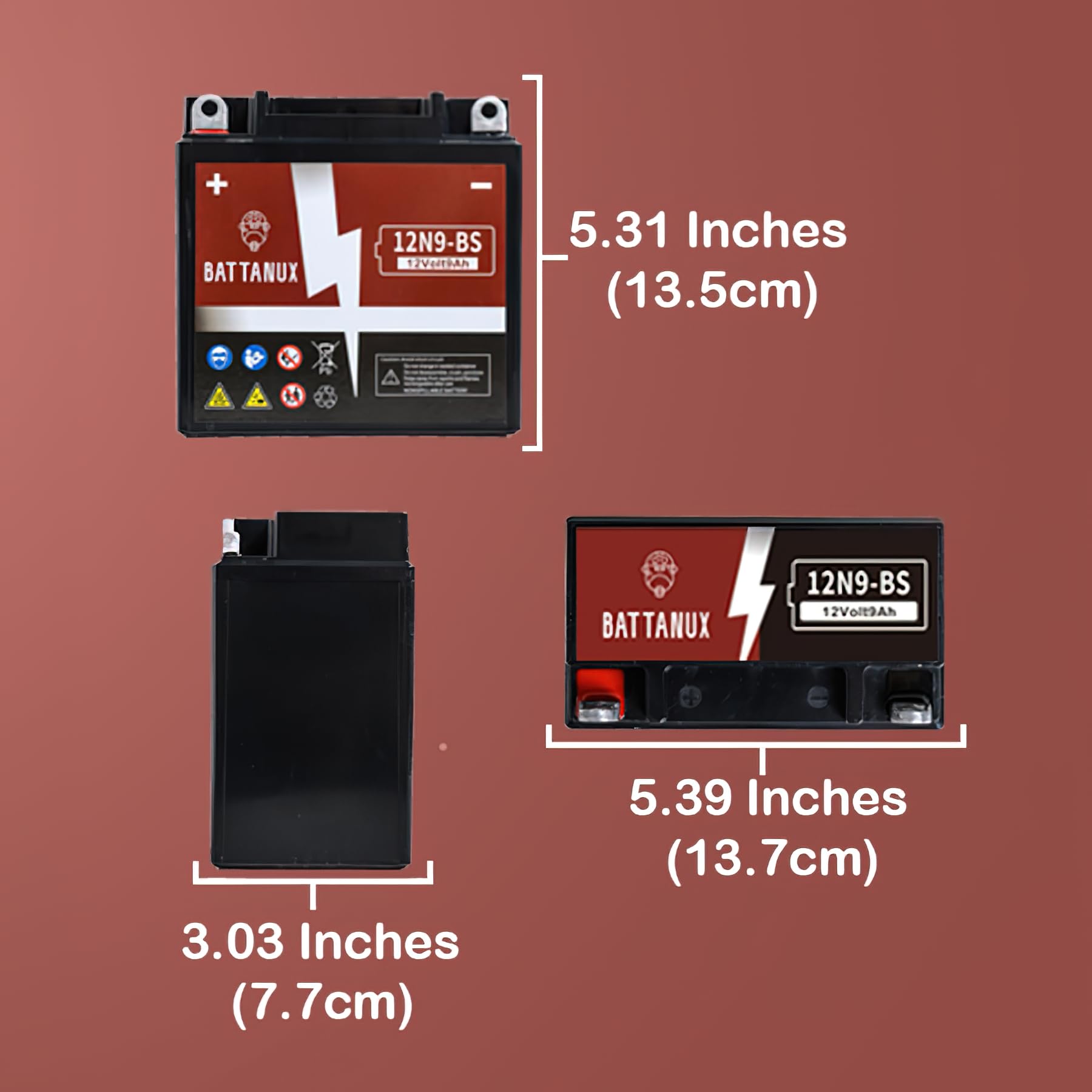 Battanux 12N9-BS battery top label indicates model and specs for quick reference.