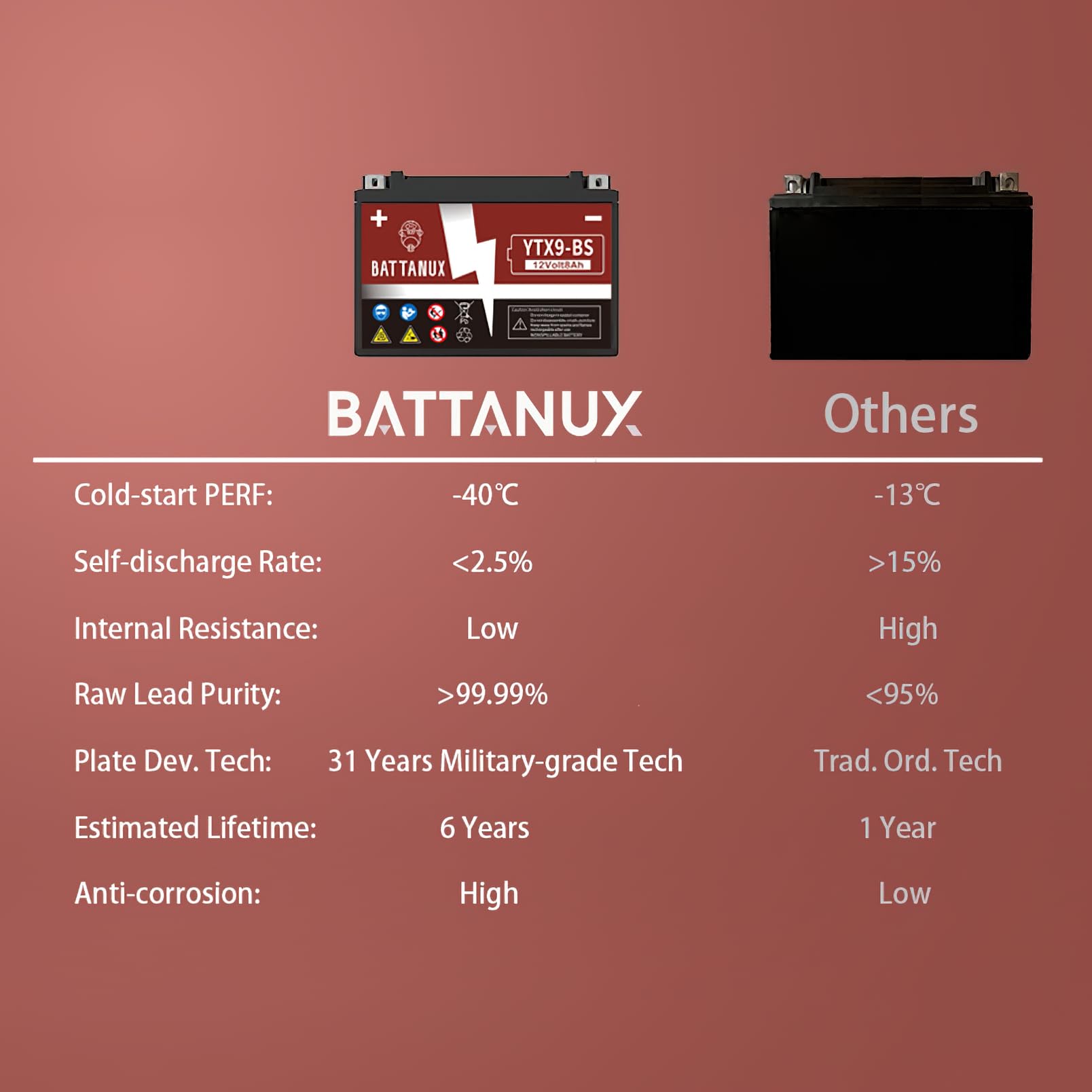Battanux YTX9-BS terminal view shows secure connection points.