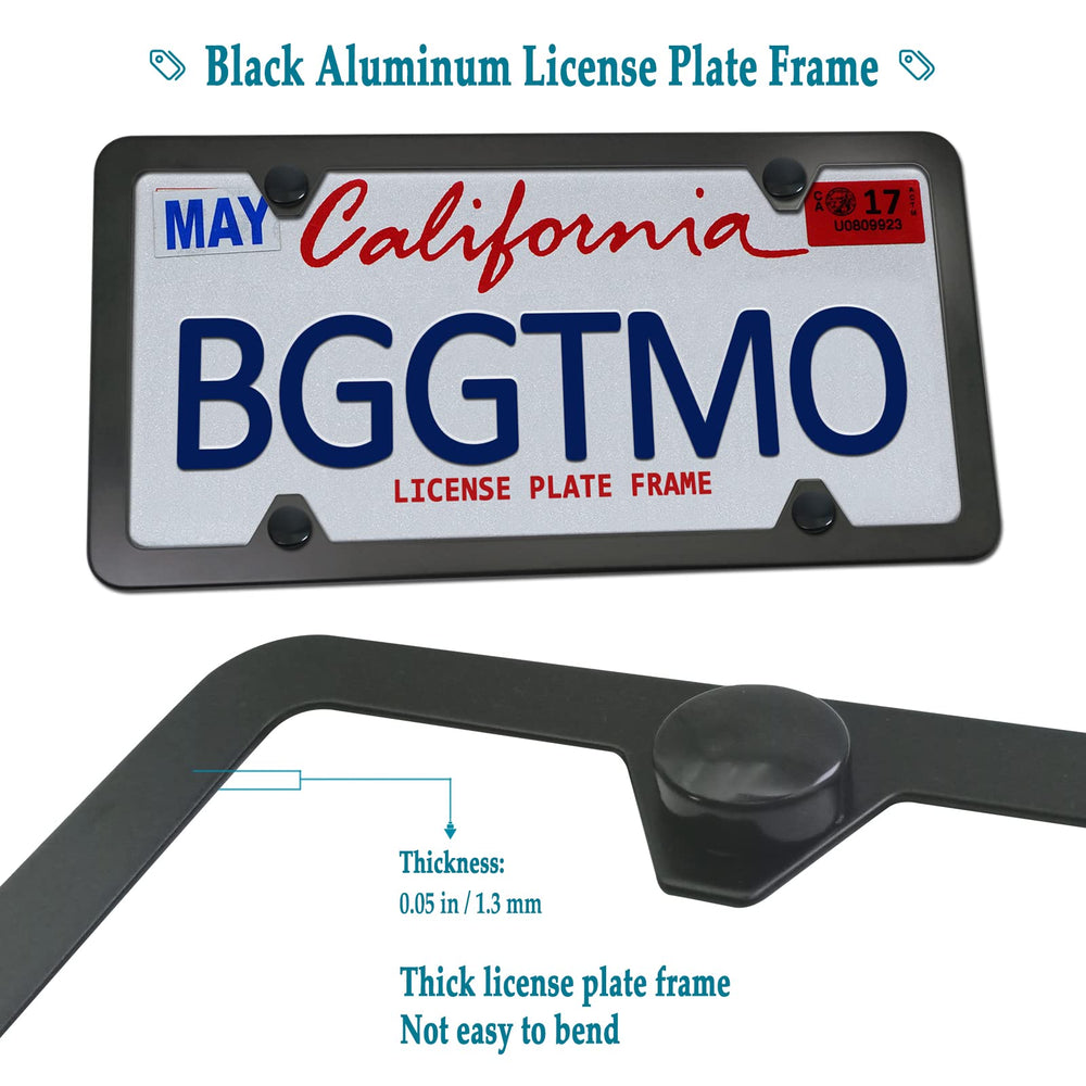 BGGTMO 2-hole license light mount compatibility shows easy fit with most plates.