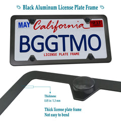 BGGTMO 2-hole license light mount compatibility shows easy fit with most plates.