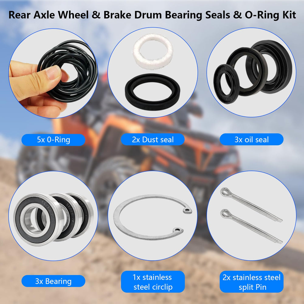 Closeup of bearings and seals from BIGLKNM kit for precise fit