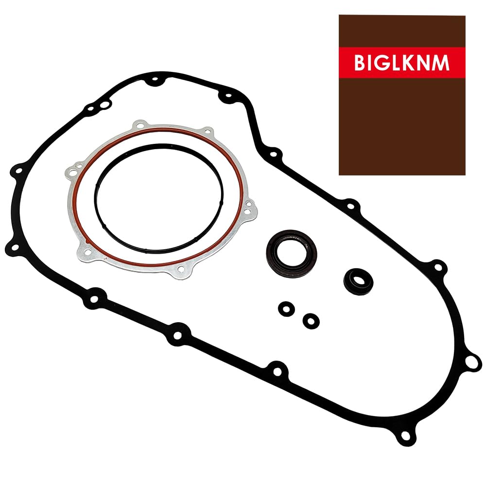 BIGLKNM primary gasket foamet 34901-07 photo illustrating precise gasket sealing.