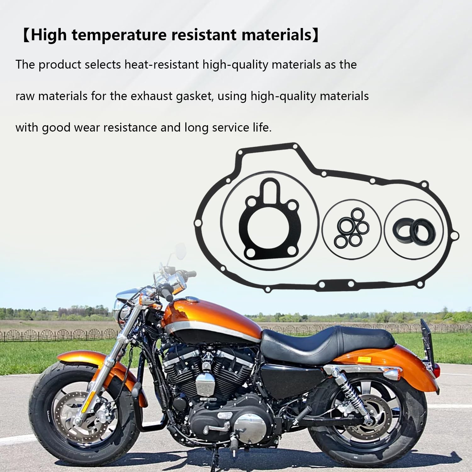 On-bike view shows seal kit securing clutch cover.