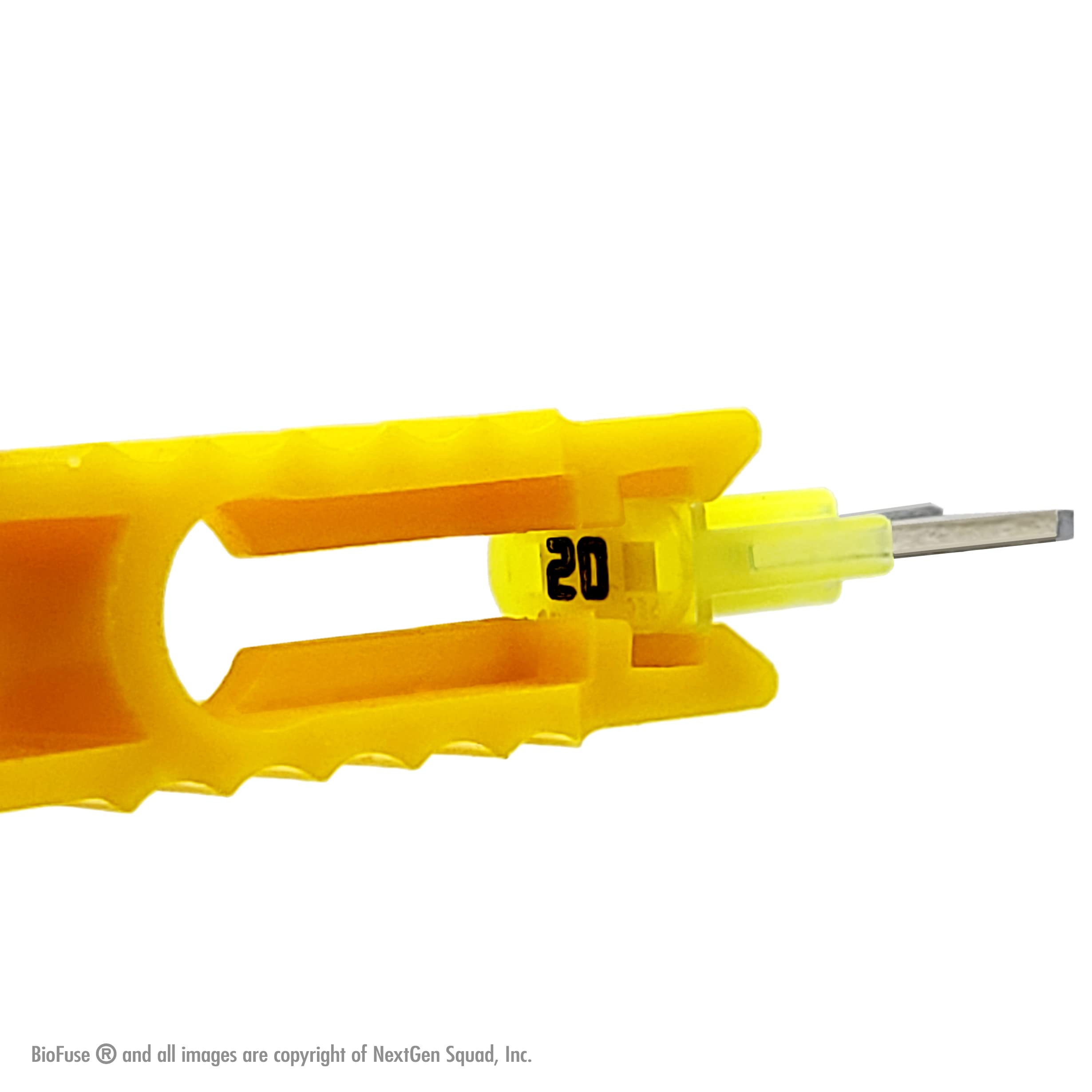 BioFuse 30A green fuse enhances main circuit protection for demanding setups
