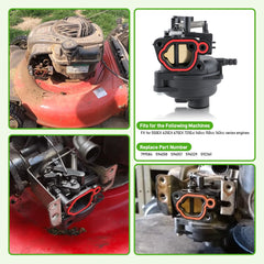 BioLion carburetor installation guide preview for quick replacement