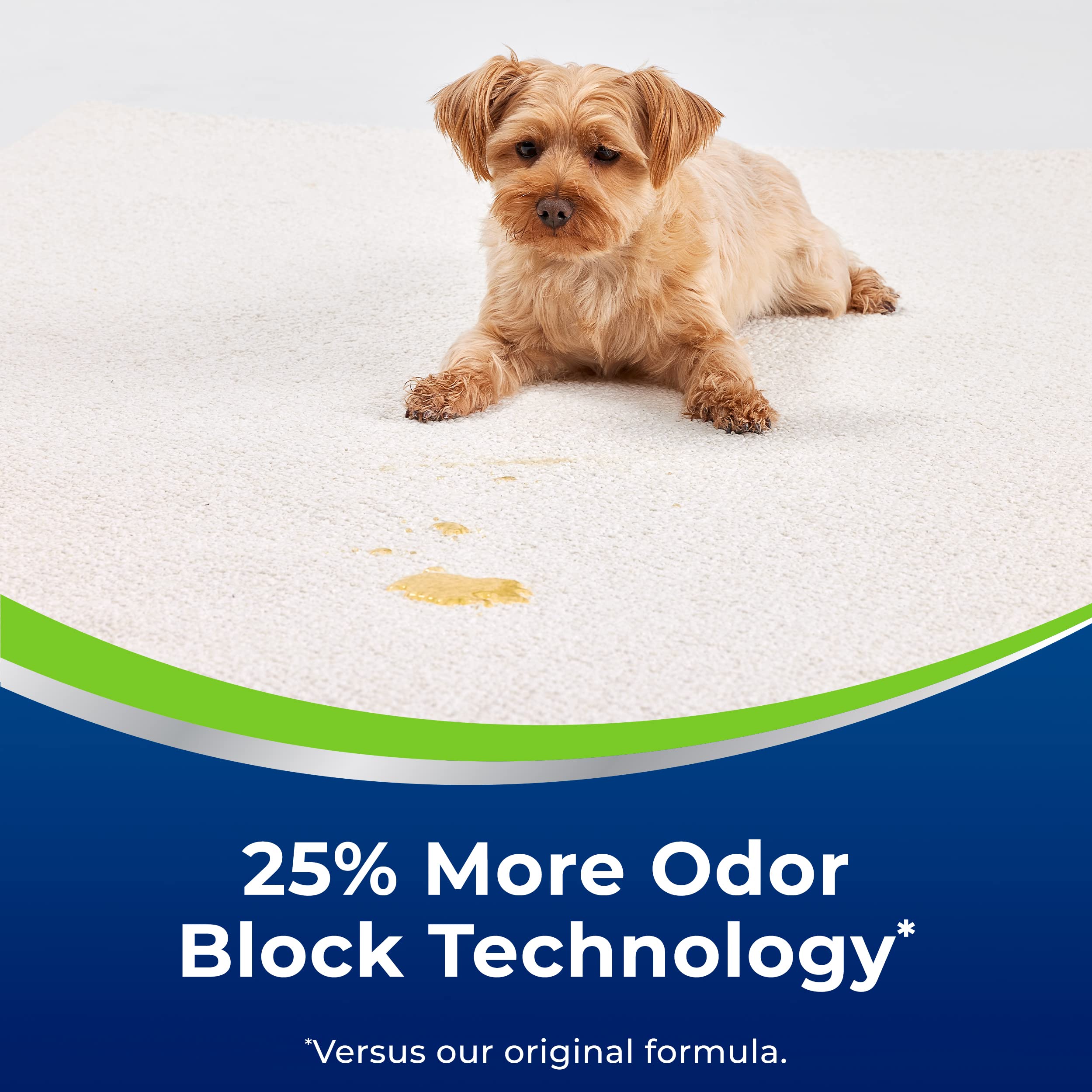 Bissell Woolite Advantage Heavy Traffic Carpet Foam odor-block action refreshing the room.