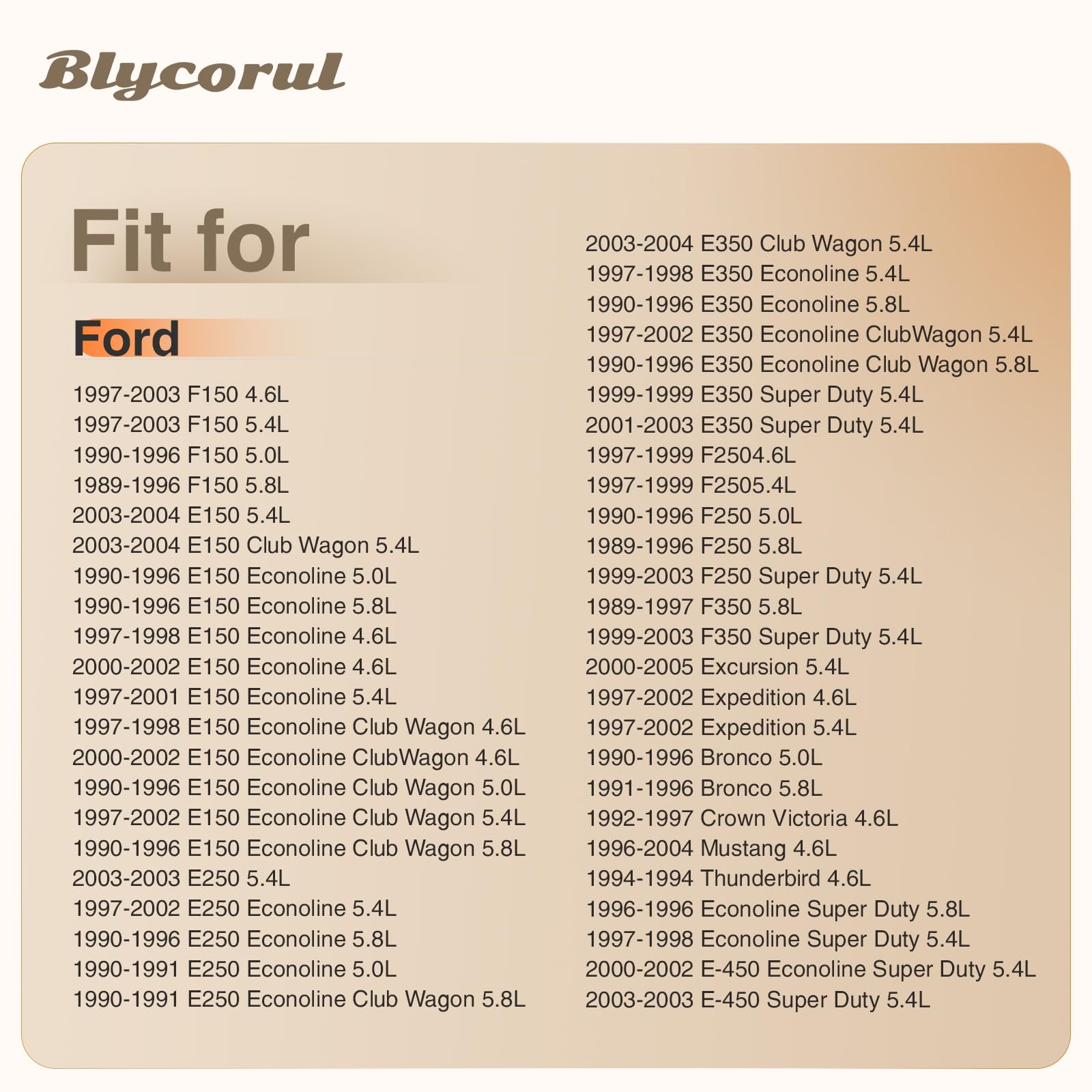 Blycorul fuel injector kit inside its box for quick identification and packaging.