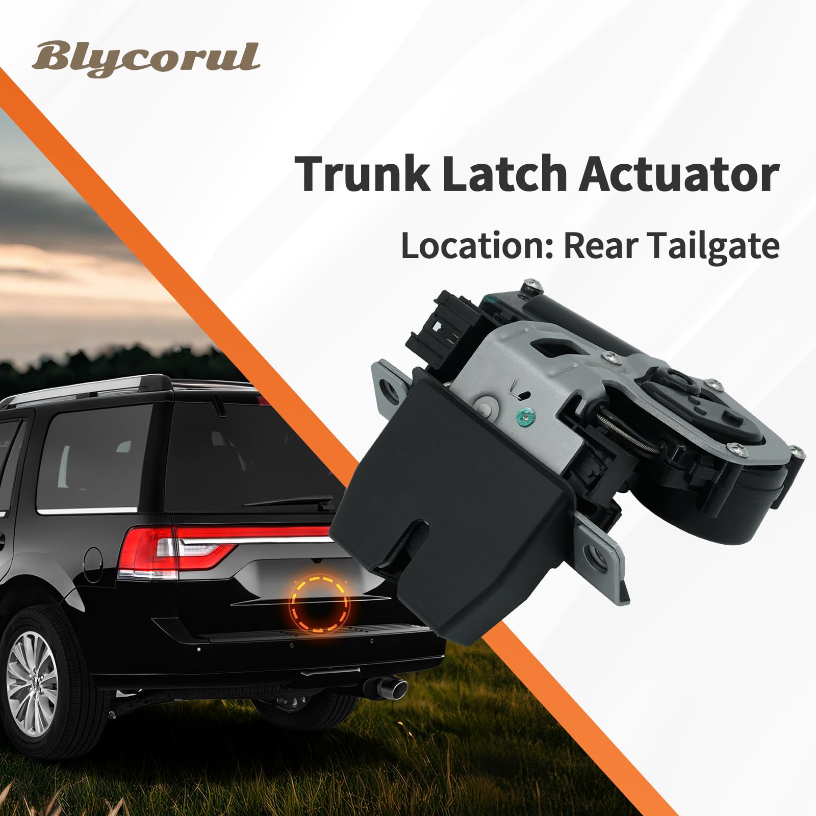 Blycorul liftgate lock actuator close-up of robust steel housing under heavy use.