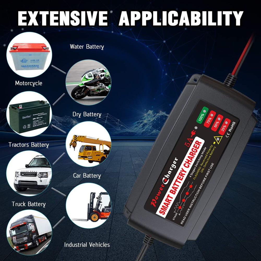 BMK four-stage management LED indicators show charge progress clearly.