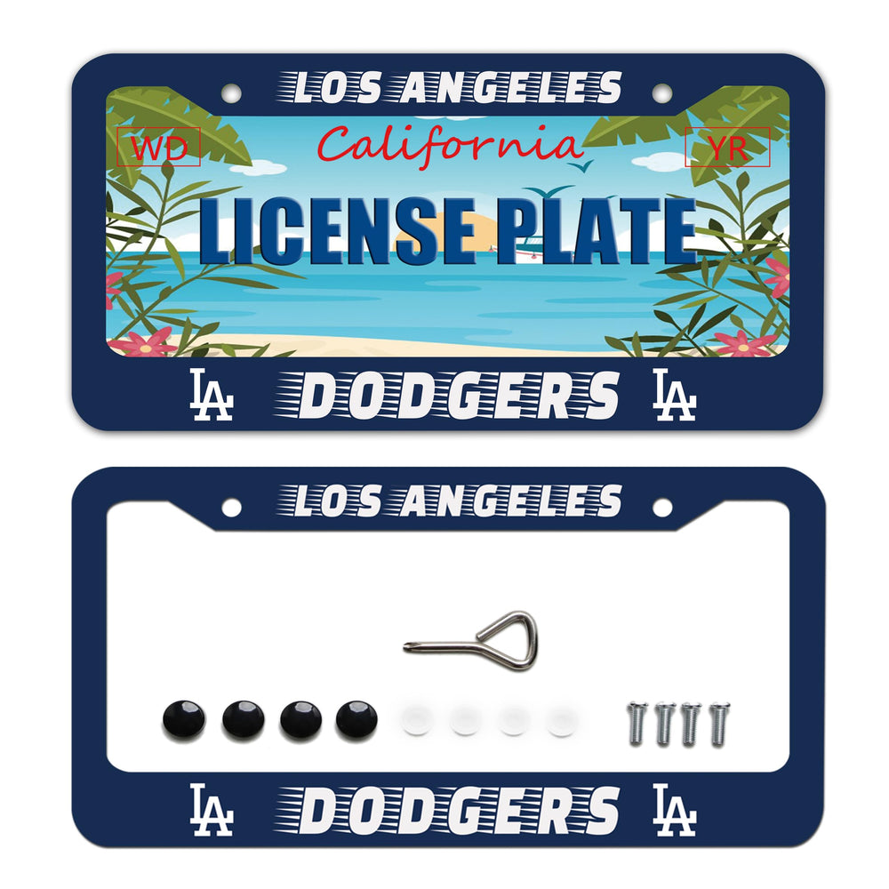 BOARLIDA Dodgers frame closeup in stainless finish, highlighting corrosion resistance.
