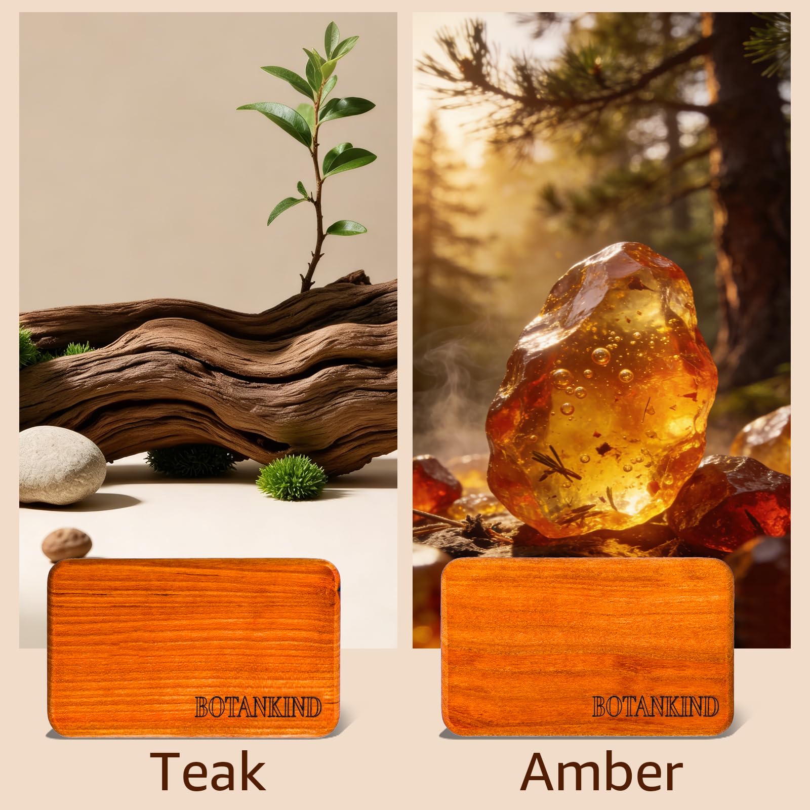 Botanikind fragrance-varieties teak amber cabana grove showcases scent options.