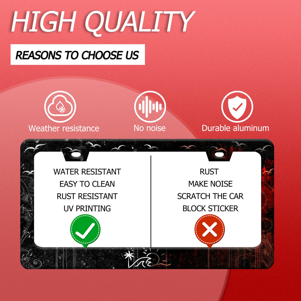 BRAGHRTED US-Canada standard size frame designed to fit US and Canadian plates.