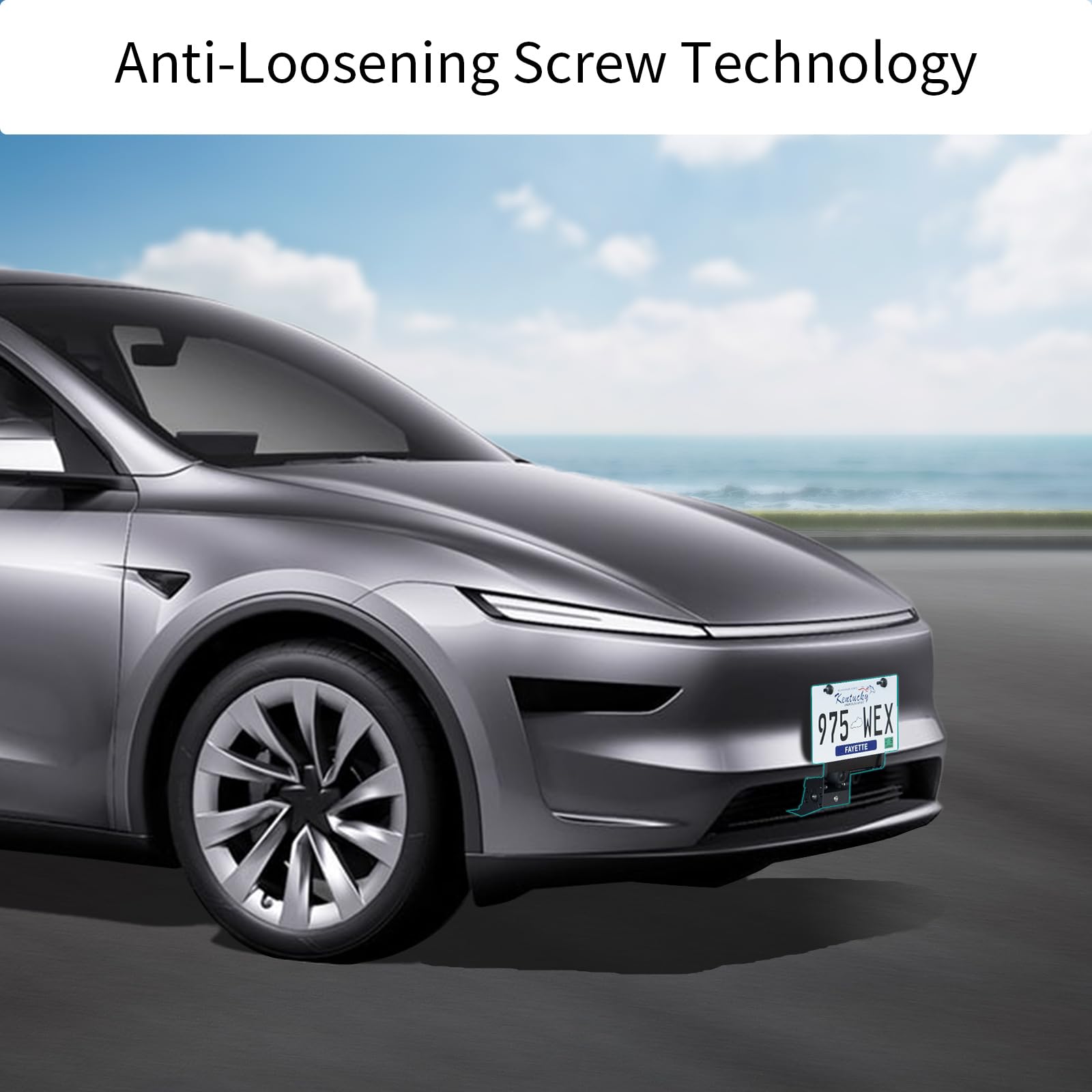 BurtyPokie matte black finish blends with Tesla's sleek design.