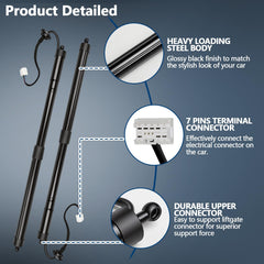 BZSSY liftgate strut coating durability resists weather wear.