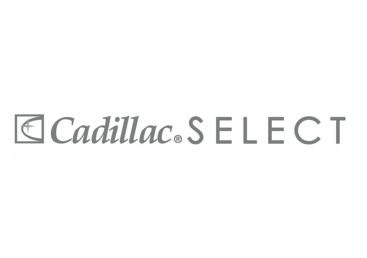 Cadillac Select Premium Leather Protector barrier revealing invisible protection against spills and stains.