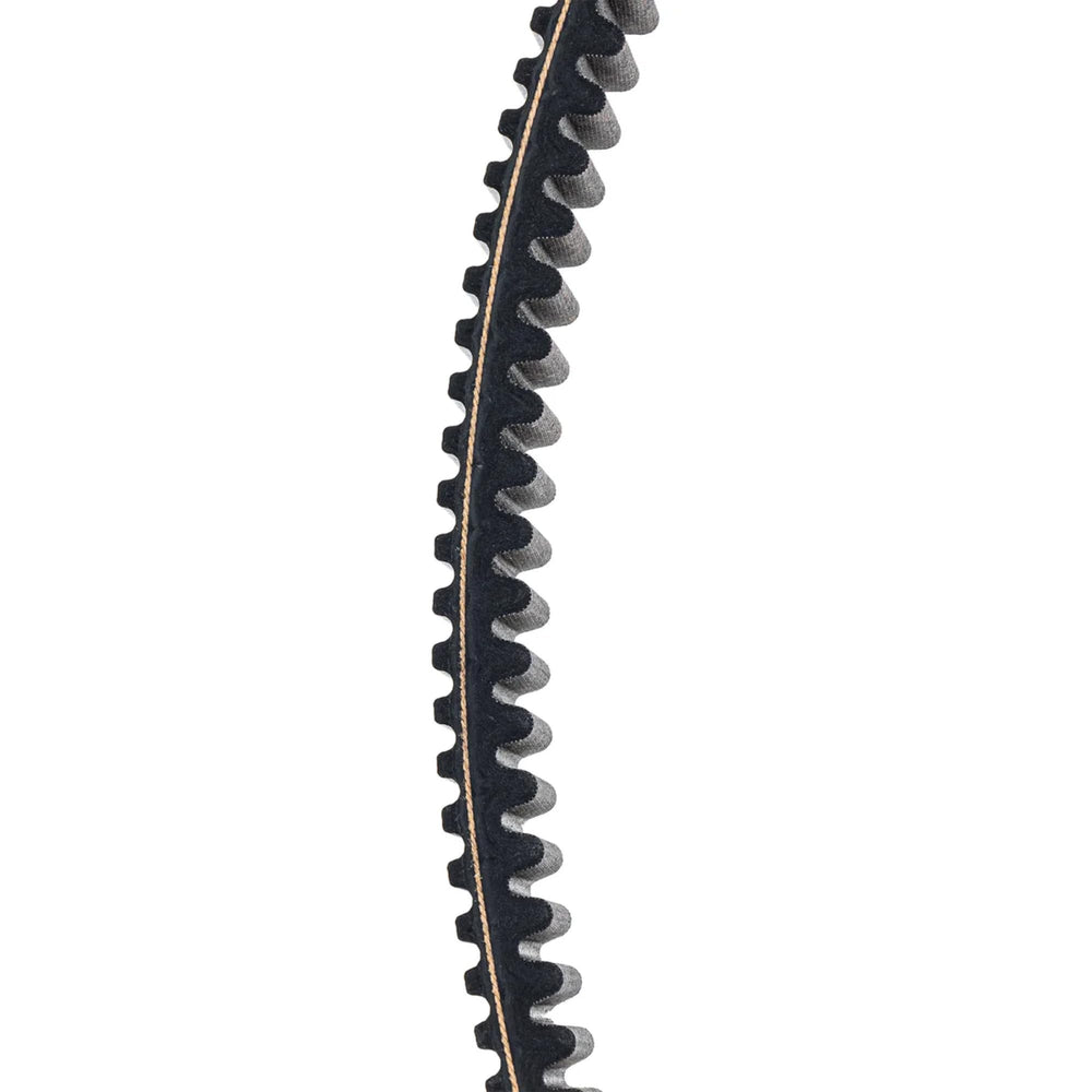 Can-Am belt edge detail with reinforced fibers for prolonged performance