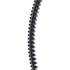 Can-Am belt edge detail with reinforced fibers for prolonged performance