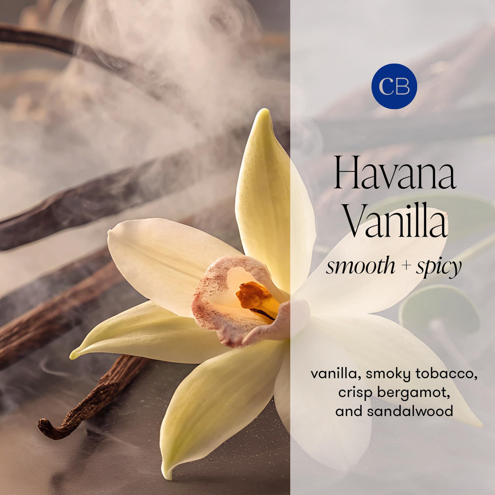 Capri Blue Havana Vanilla Pura car refills deliver long-lasting fragrance for commutes.