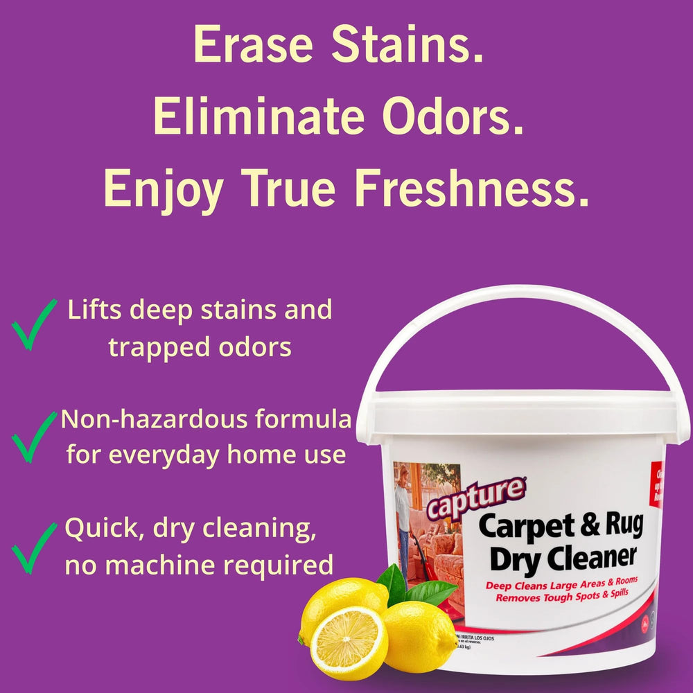 Capture powder being brushed into fibers to lift stains before vacuuming