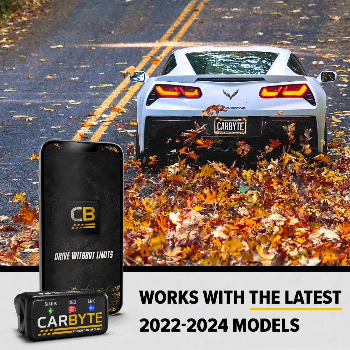 Carbyte plugged into OBDII port ensuring risk-free installation.