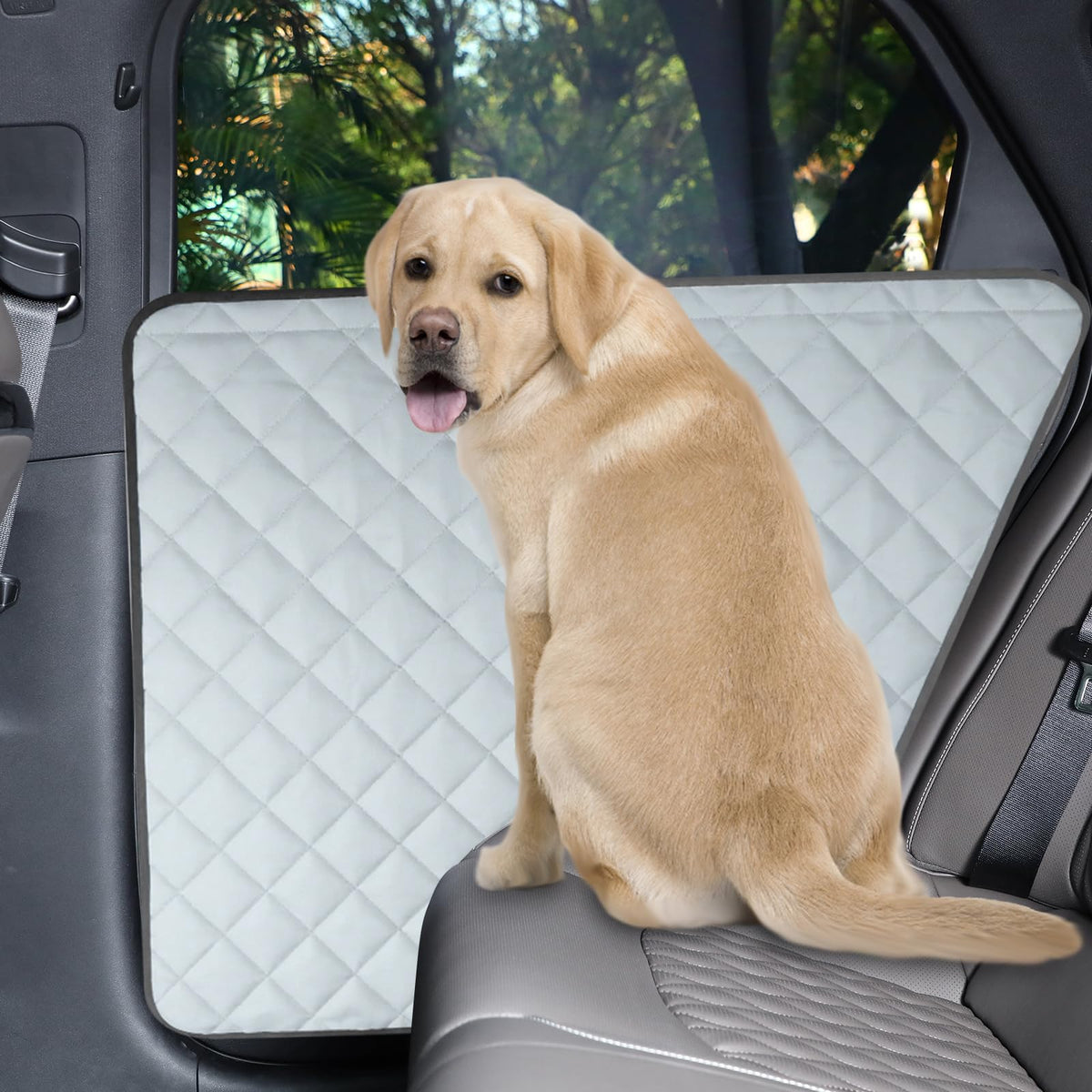 CarChic 2-pack dog door protector ready for travel protection.
