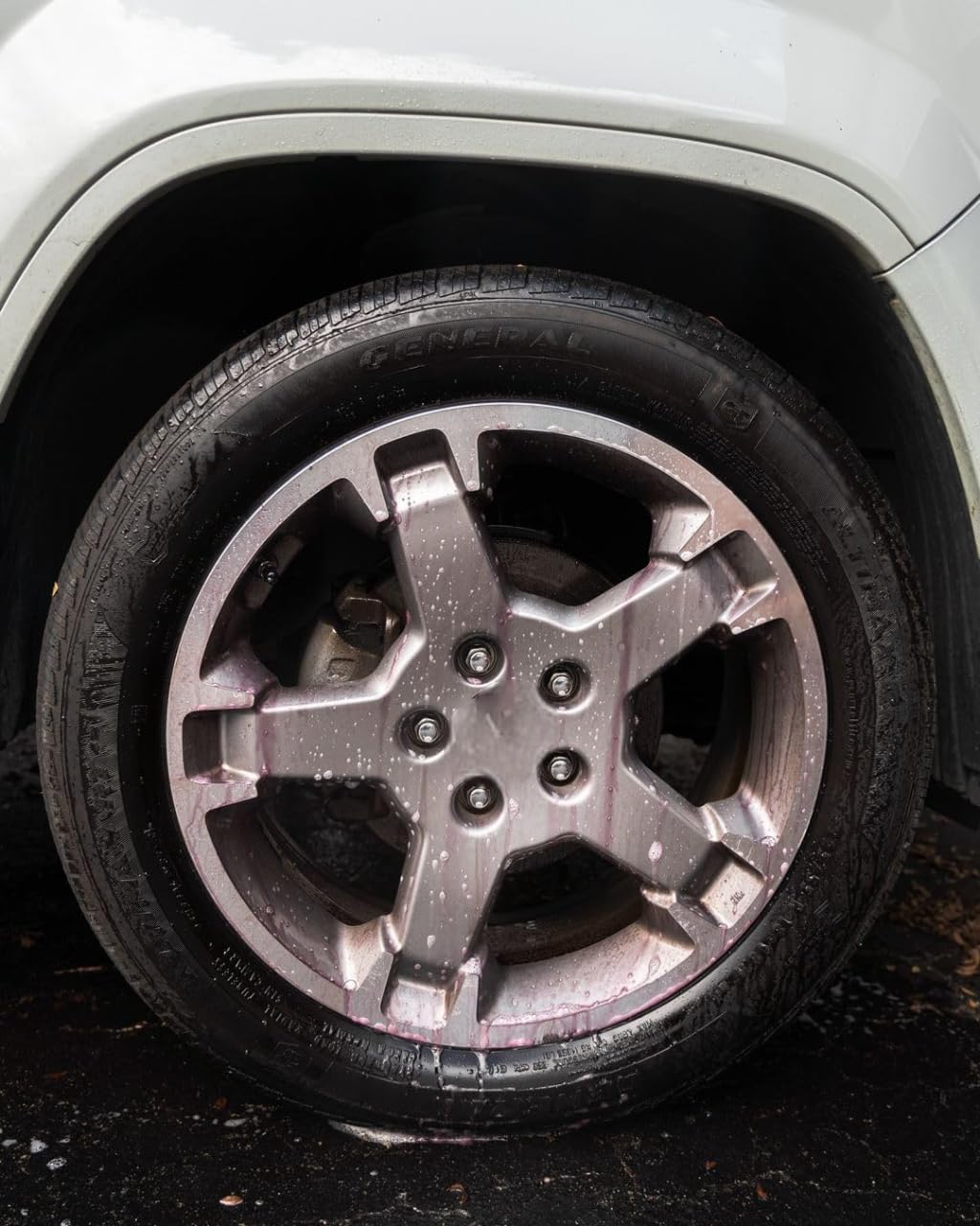 CARPRO CARRO WheelX removes grease around calipers and wheel wells.