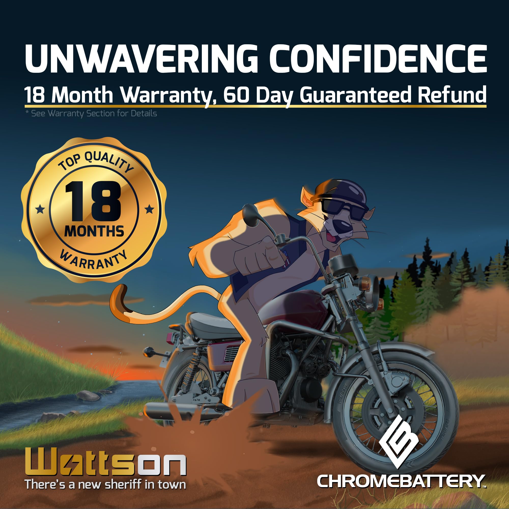 CB Chromebattery Yamaha R6 compatibility highlights performance across sport bikes.