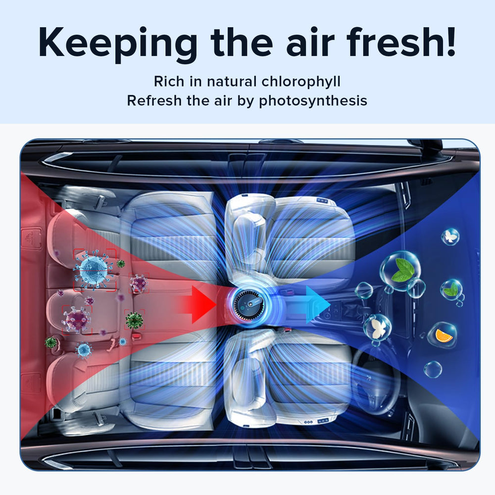 Ceeniu car fragrance refill packaging emphasizing product packaging