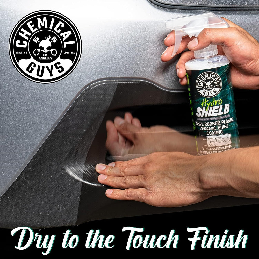 HydroShield professional-detail-results showcases showroom-ready plastics