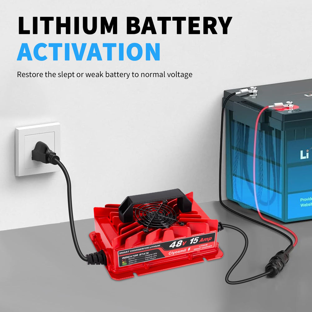 Ciyosmil charger back ports demonstrate versatile LiFePO4 connectivity for easy setup.
